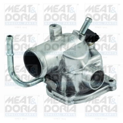 Thermostat, coolant